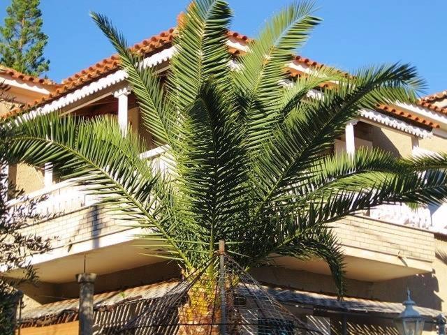 Alex - Nancy Apartments - Zaga Beach Koróni Extérieur photo